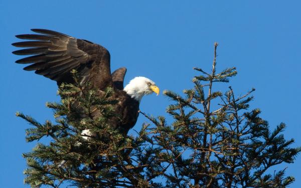 San Juan Safaris, Friday Harbor, WA