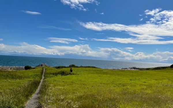 San Juan Island, Washington