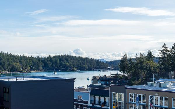 Bird Rock Hotel - San Juan Island Washington -San juan deck view