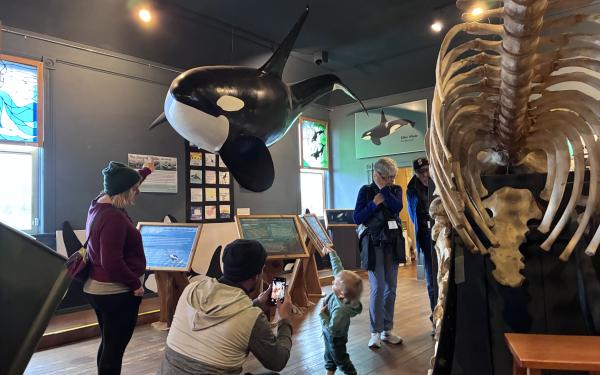 Friday Harbor, Washington