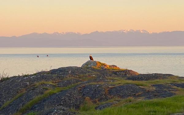 San Juan Island, Washington