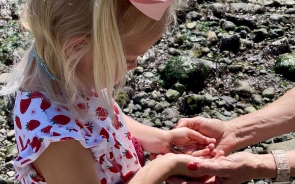 San Juan Island, Washington