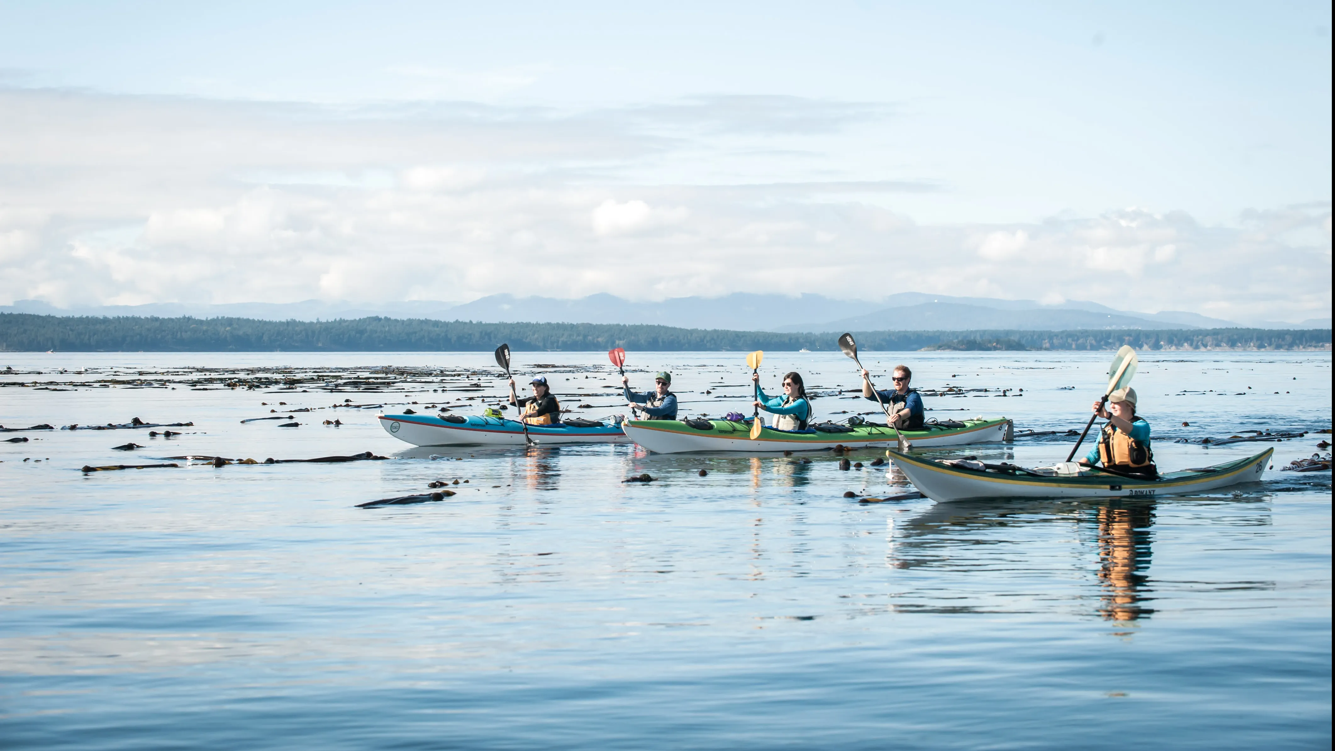 San Juan Outdoors - 3 Hour Kayak Tour San Juan Island