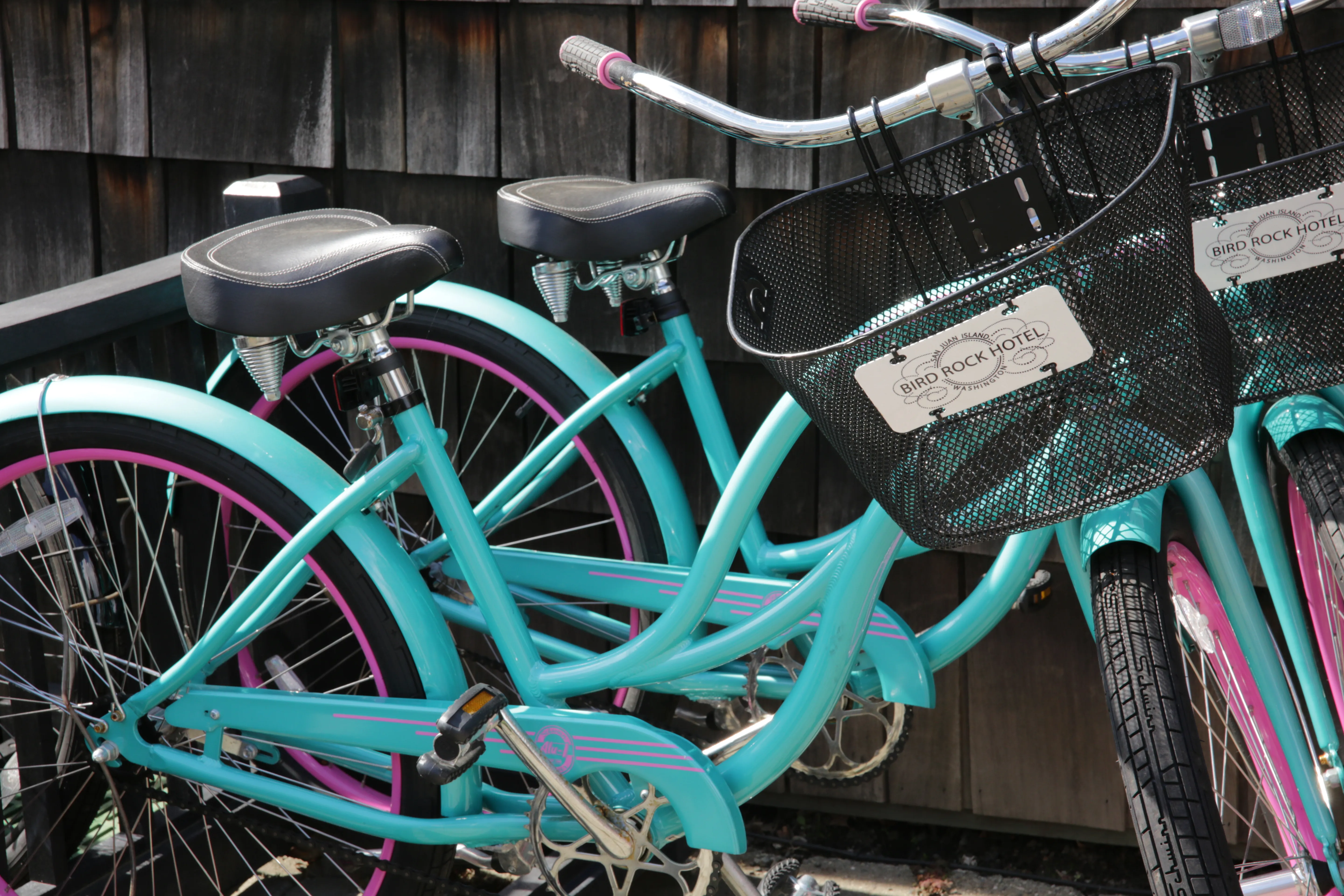 Lisette Wolter-McKinley