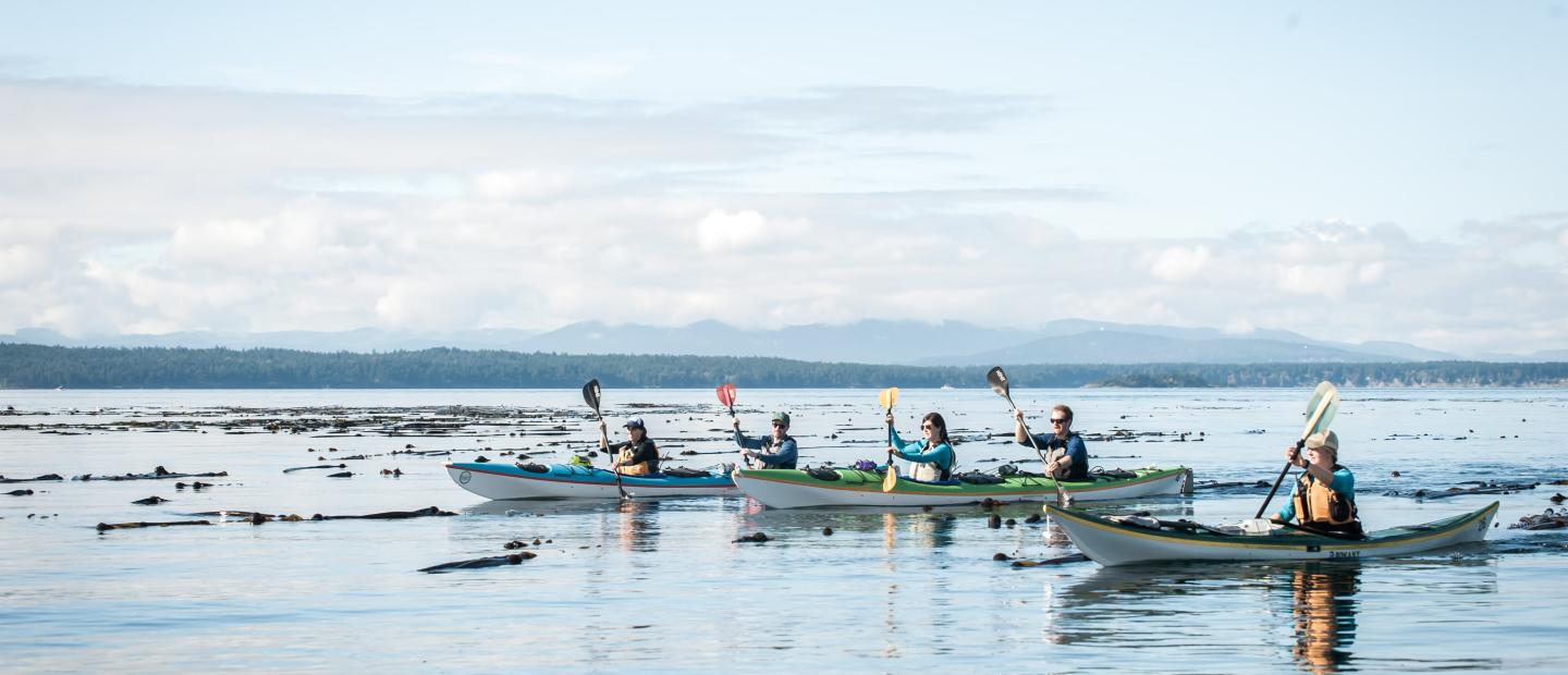 San Juan Outdoors - 3 Hour Kayak Tour San Juan Island
